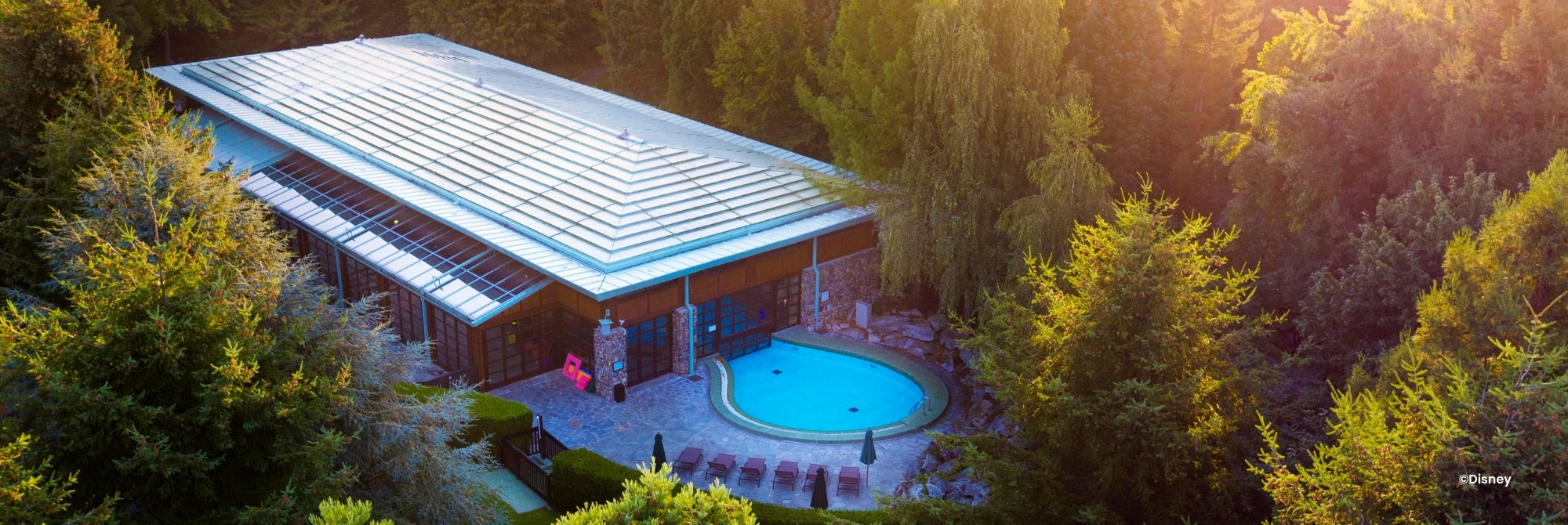 Zwembad tussen de boven van Disney Sequoia Lodge
