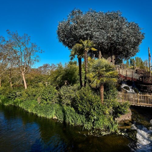 La Cabane des Robinson Cabane des Robinson tussen de palmbomen en struiken omringd door water