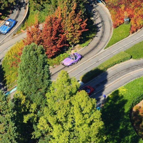 Wegen Autopia Paarse en blauwe auto van de attractie Autopia tussen de groene en bruinen bomen