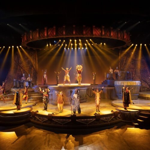 Lion king Rhythm of the Pridelands De cast van de Lion King Show in de spotlights op het podium in Frontierland