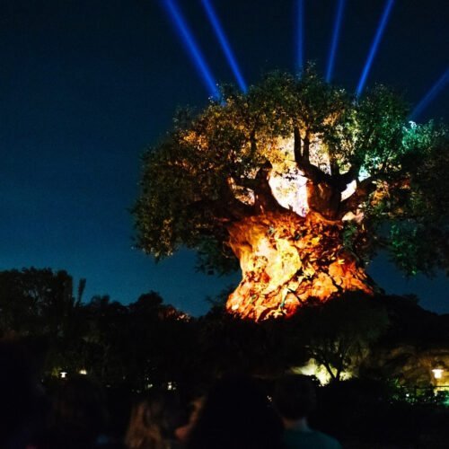 4021170_1115zr_2766cm_argb_r1 Tree of Life in het donker