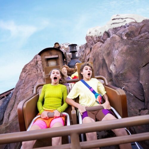 Disney World Expedition Everest in Disney's Animal Kingdom