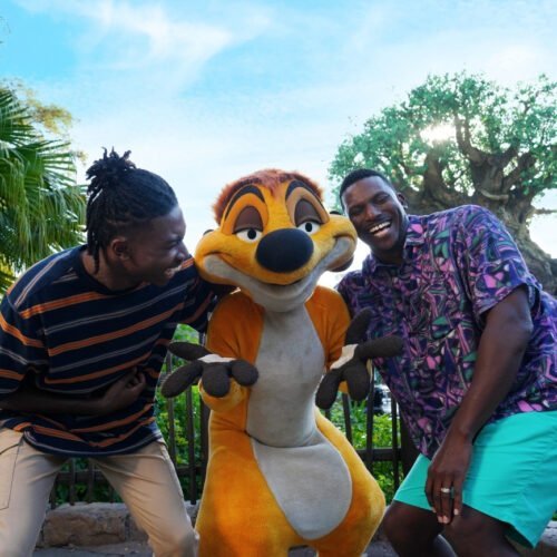 Disney World (2) Mensen met Timon voor de Tree of Life