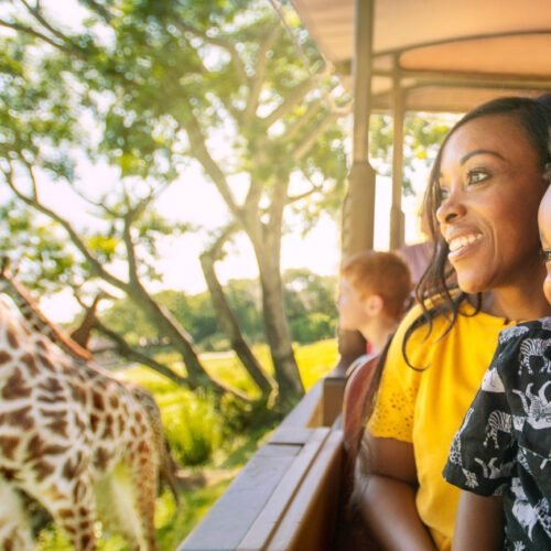 Disney World (3) Mensen in Jeep naast giraffen in Kilimanjaro Safari in Disney's Animal Kingdom