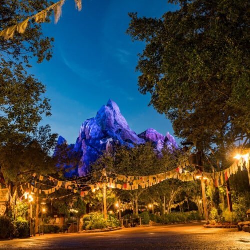 Disney World (6) Vlaggetjes voor Expedition Everest in het donker voor Disney's Animal Kingdom