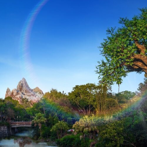 animal-kingdom-background-landscape Landschap Disney's Animal Kingdom
