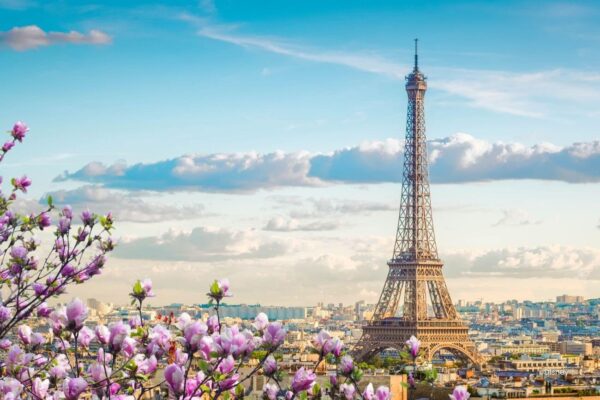 4 Eiffeltoren met paarse bloemen op de voorgrond